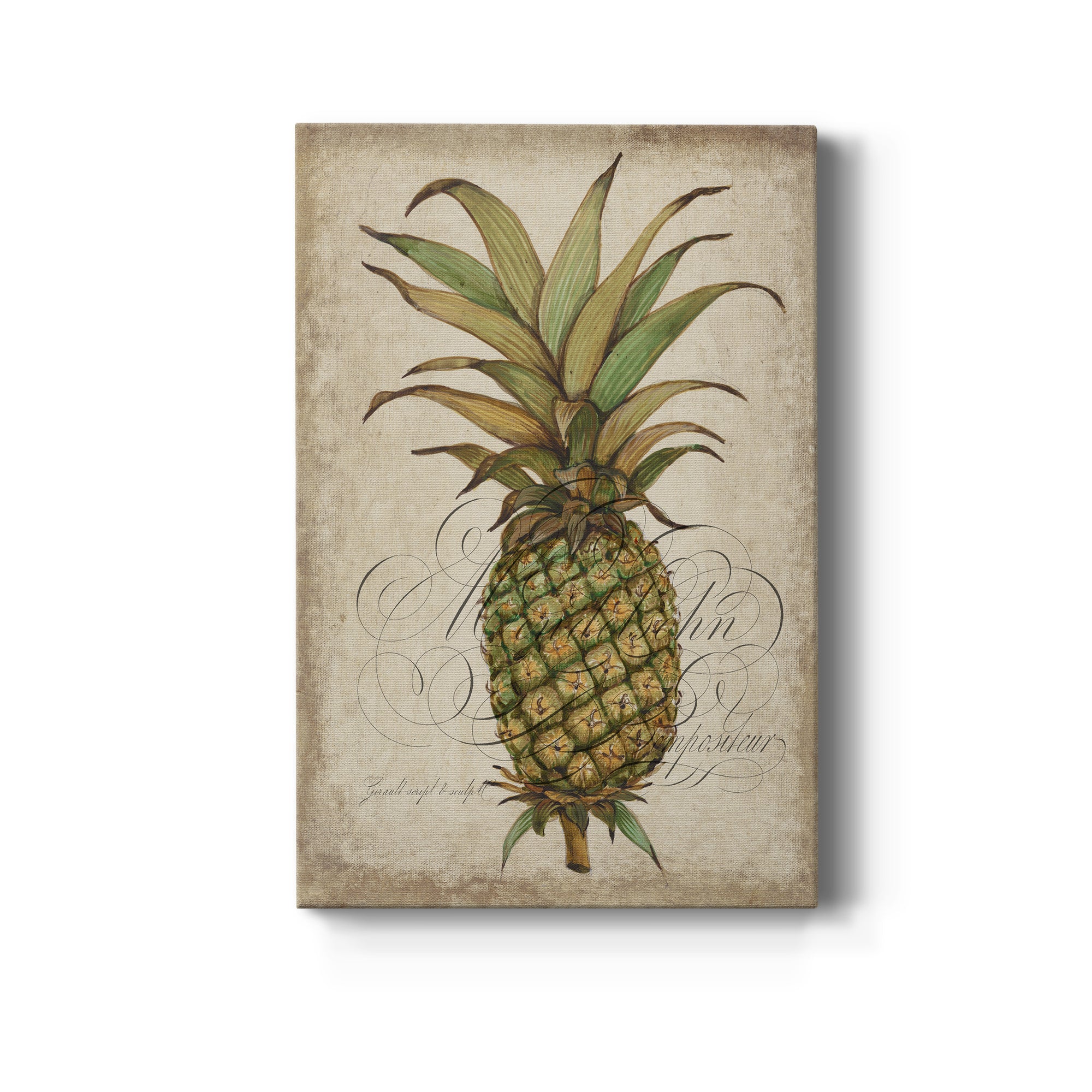 Pineapple Study I Premium Gallery Wrapped Canvas - Ready to Hang