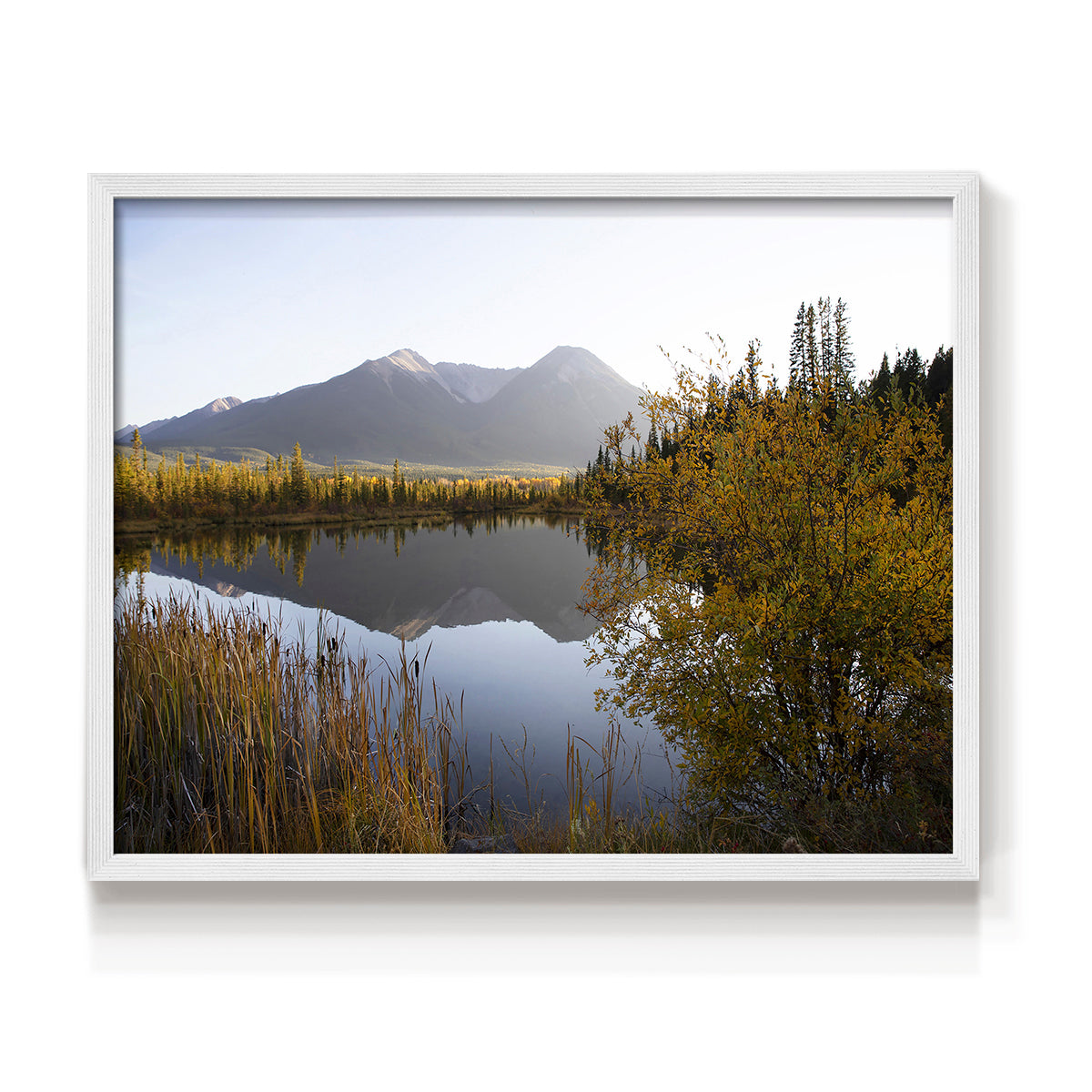 45216,mountain,lake,reflection,autumn,nature,landscape,trees,sky,serene,foliage,outdoors,tranquil,water,foliage colors,scenic,wildlife,environment,peaceful,daylight,mountainside,grass,blue sky,hiking,natural beauty,eco-tourism,seasons,national park,calm,ripples,adventure,exploration,biodiversity,picturesque,clear weather,scenery,sunlight,flora,habitat,wilderness,Re-stickable,Landscape & Nature