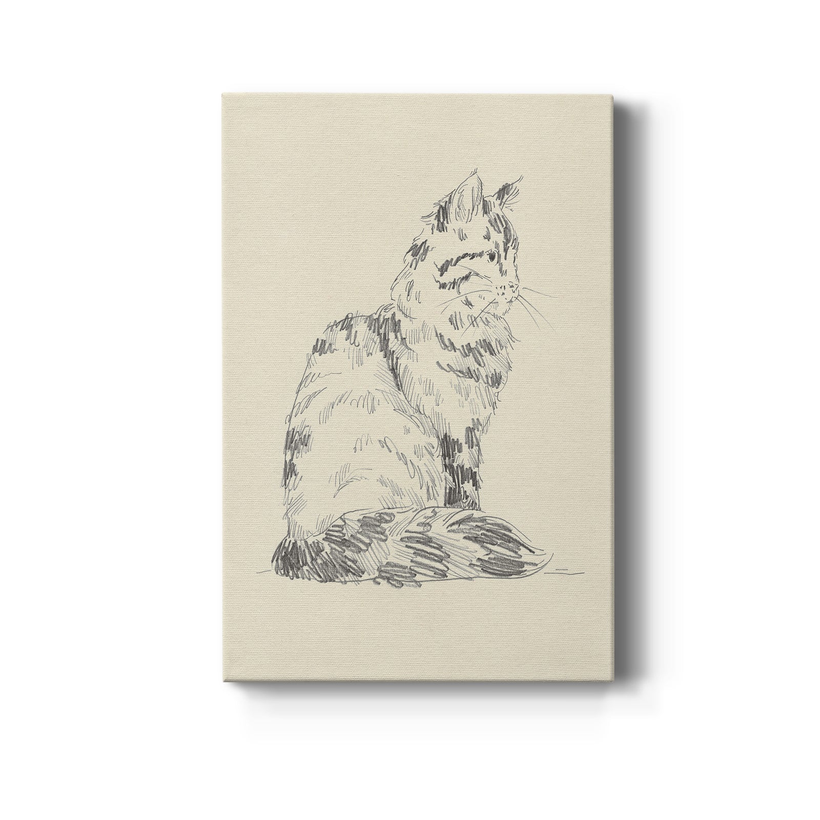 House Cat VI - Canvas Art Print