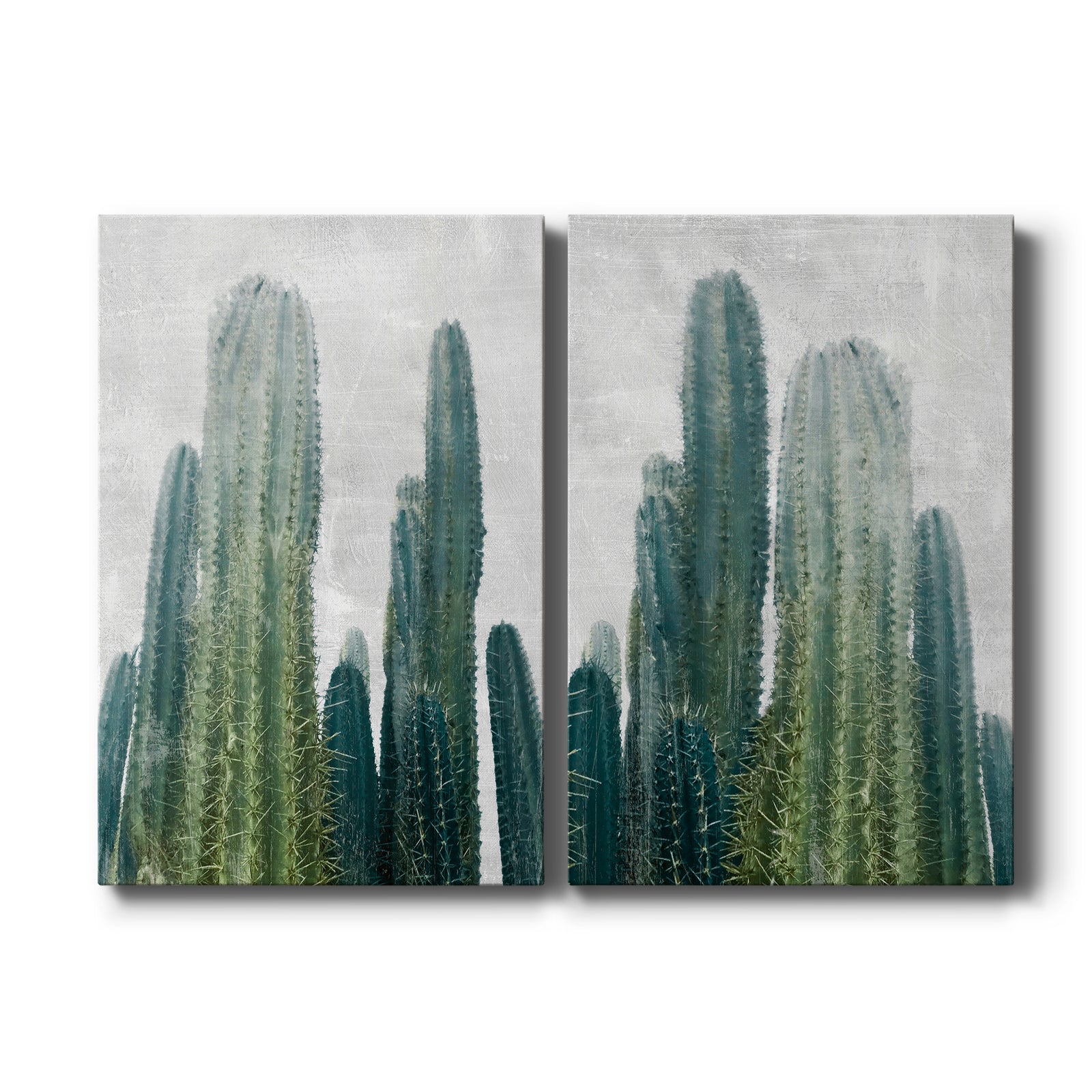 Aruba Cacti I - Canvas Art Set