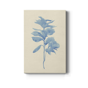 Verditer Fig III - Canvas Art Print