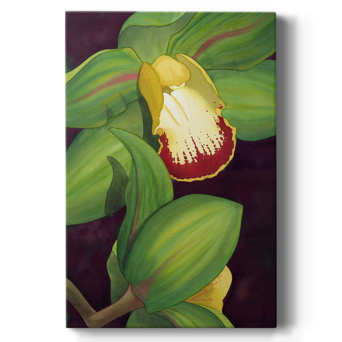 Lime Orchid II Premium Gallery Wrapped Canvas - Ready to Hang
