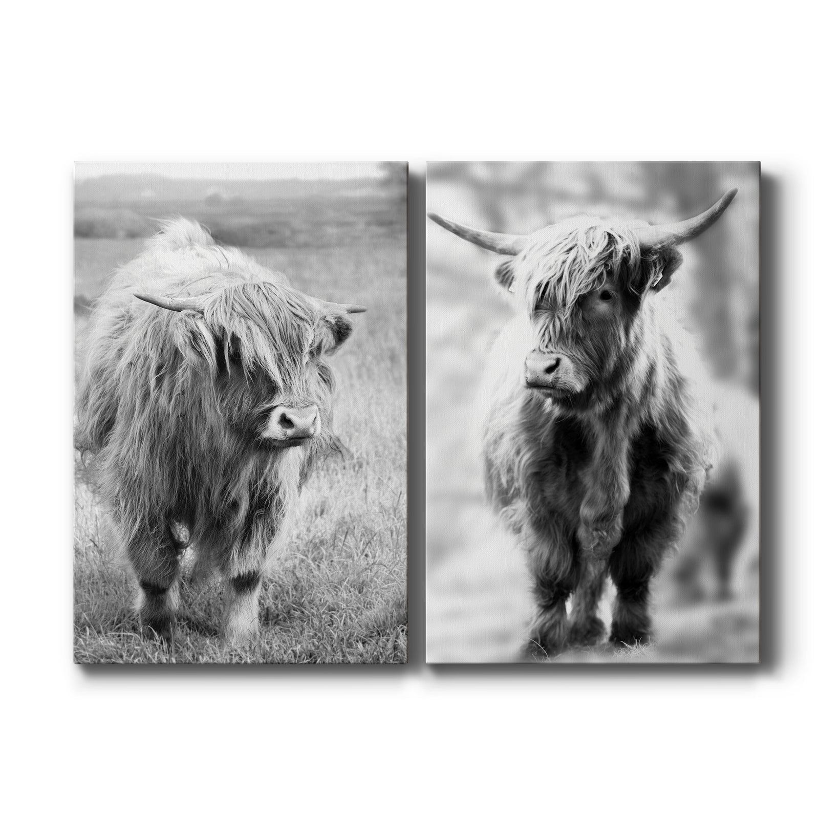 Gretna Green Highland - Canvas Art Set