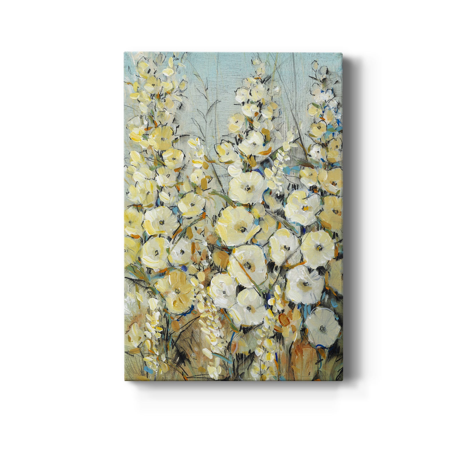 Cluster of Hollyhock I - Canvas Art Print