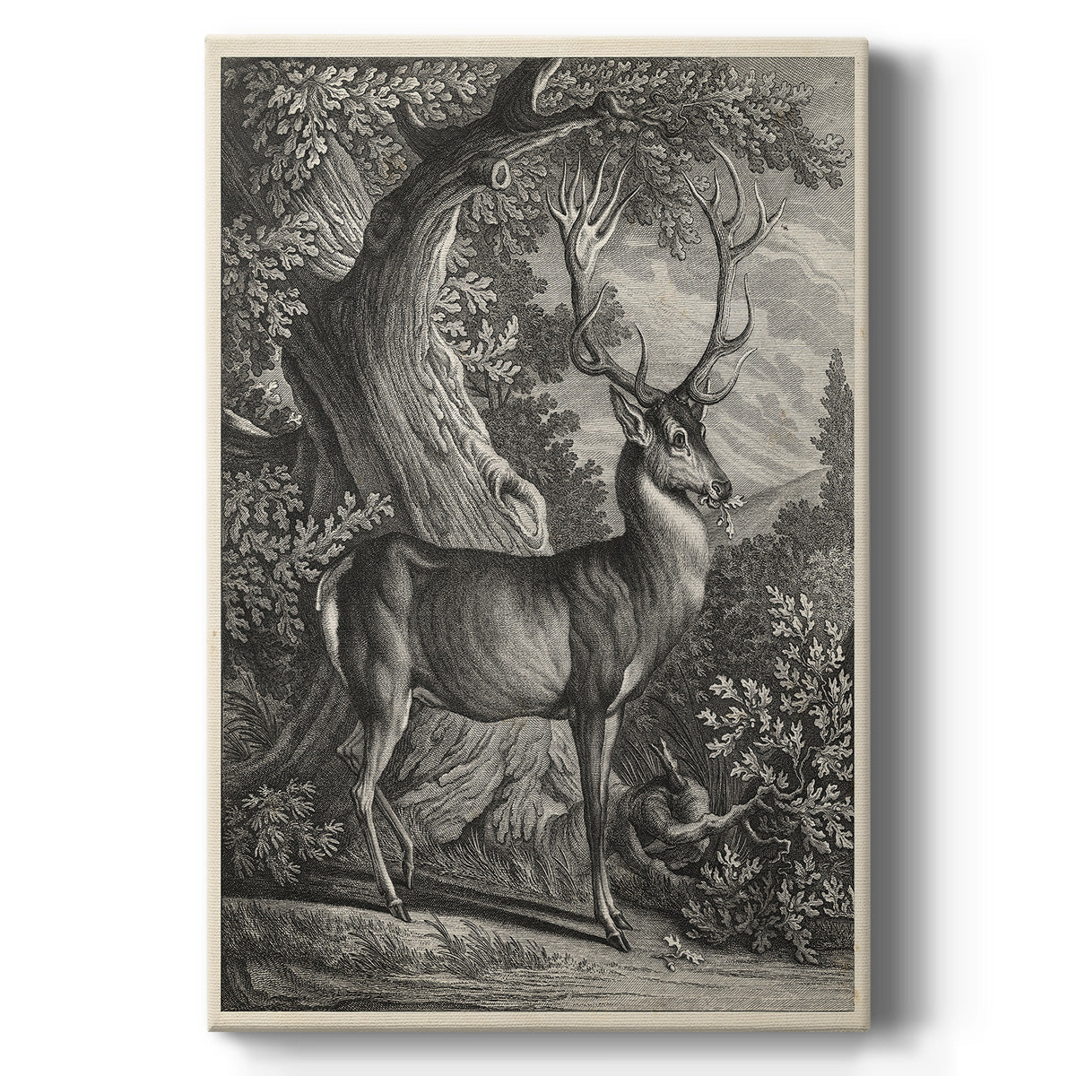 Woodland Deer I - Canvas Art Print