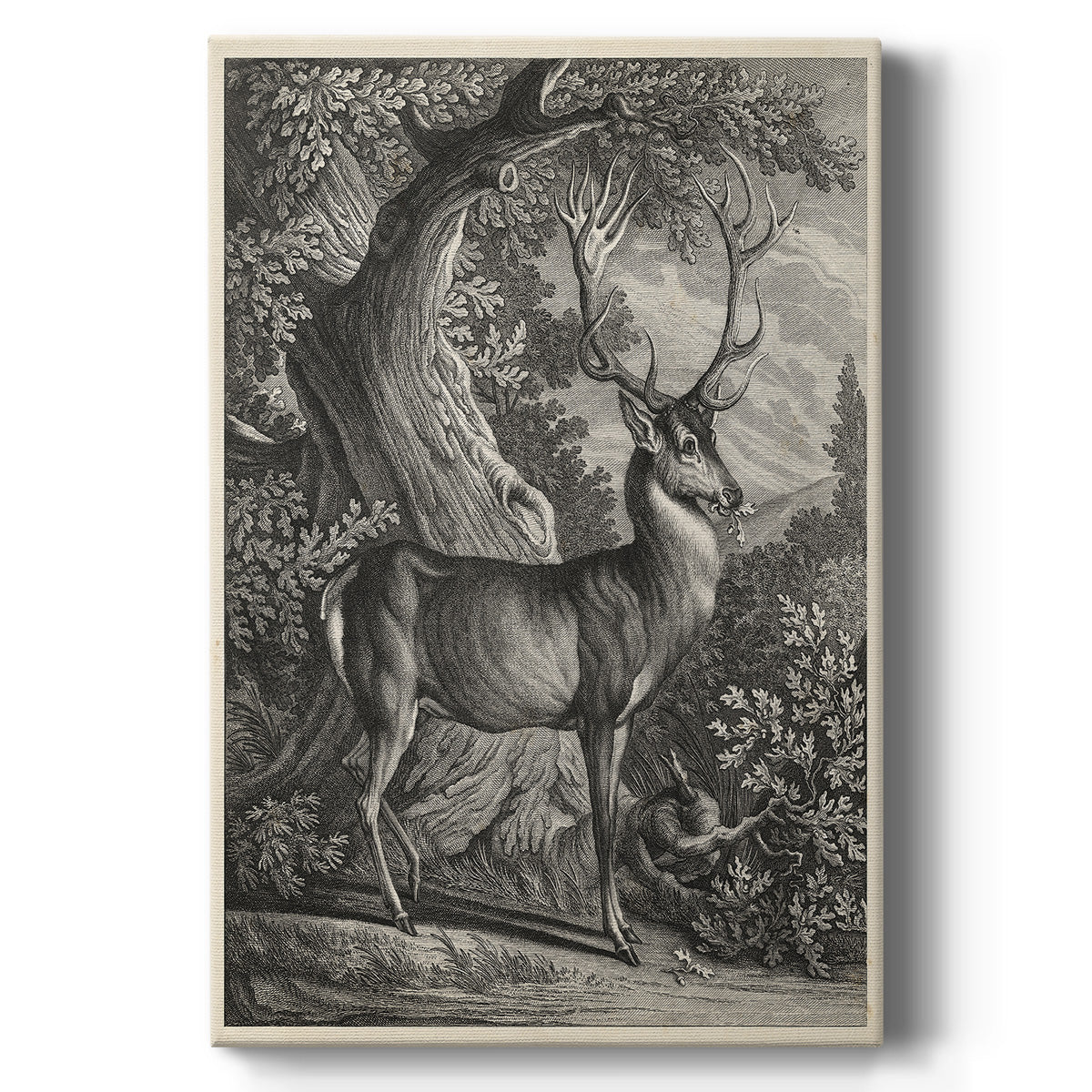 Woodland Deer I Premium Gallery Wrapped Canvas - Ready to Hang