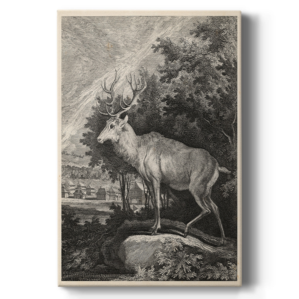 Woodland Deer II - Canvas Art Print