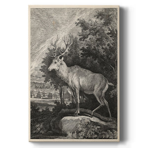 Woodland Deer II Premium Gallery Wrapped Canvas - Ready to Hang
