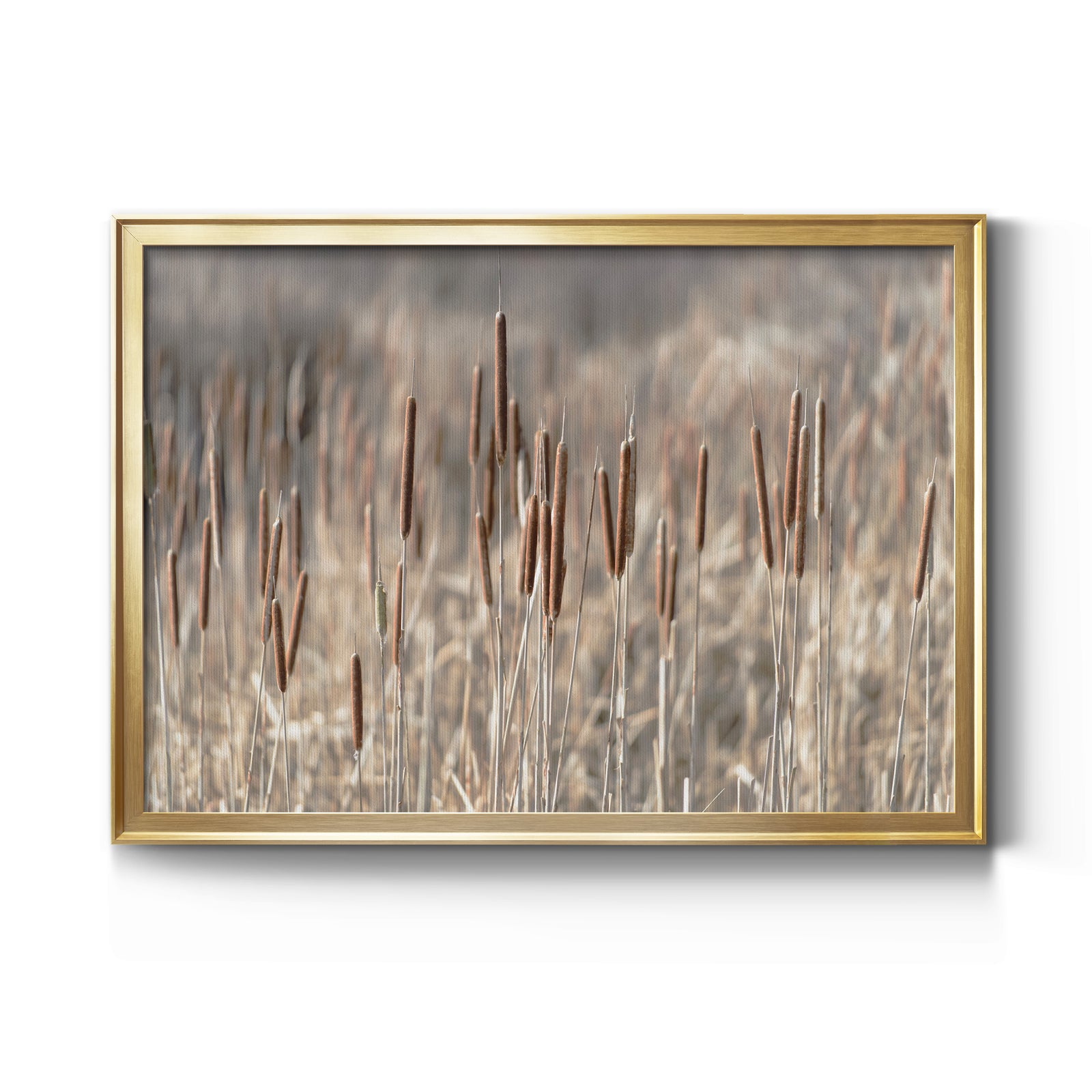 Summer Tails - Modern Framed Canvas Print