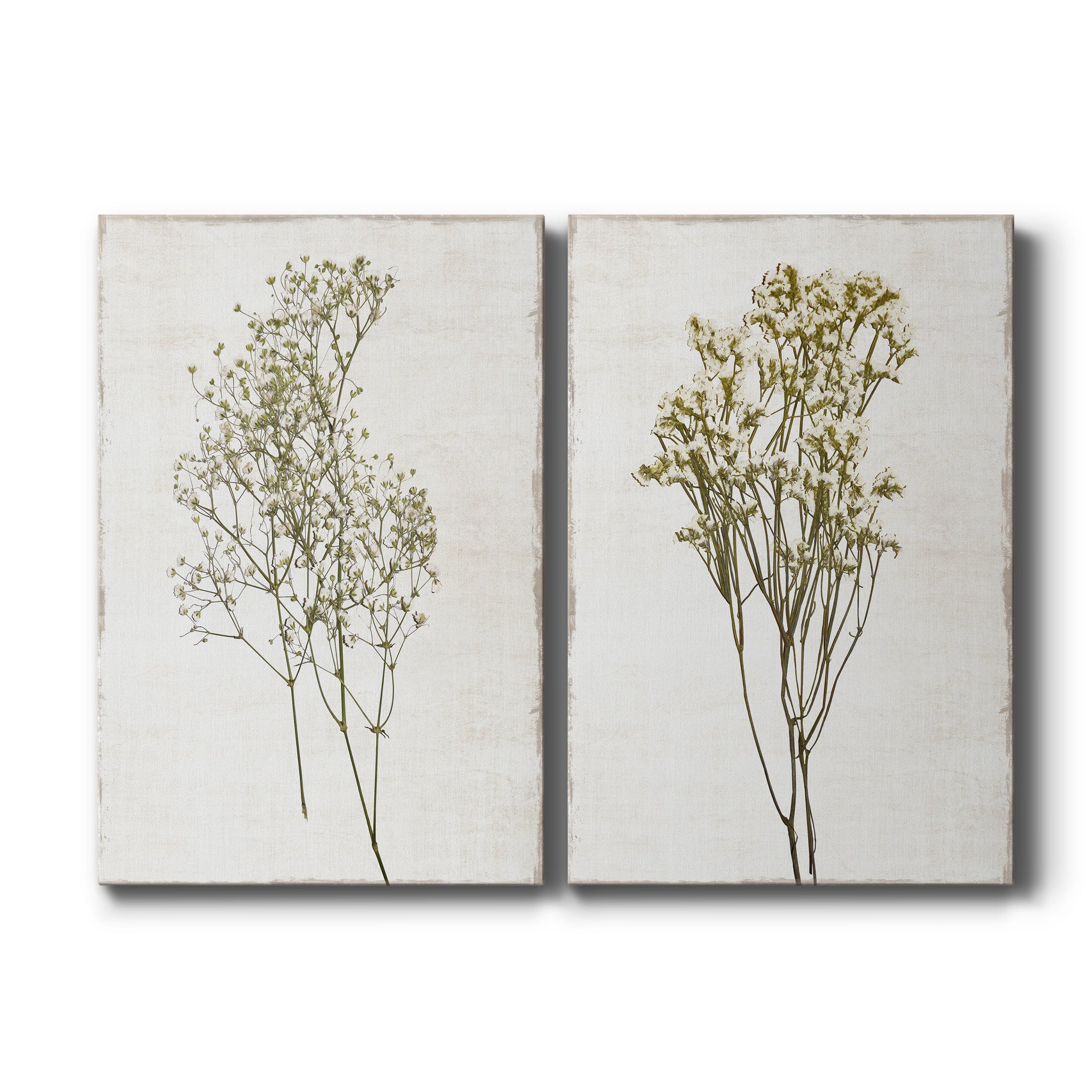 Farmhouse Pressed Flower I Premium Gallery Wrapped Canvas - Ready to Hang