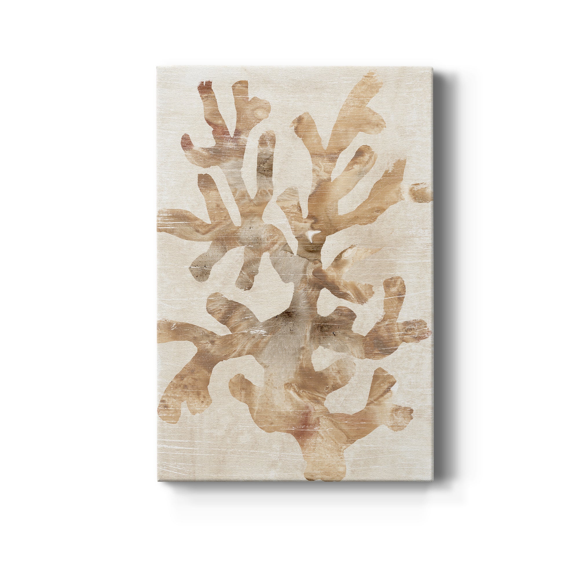 Parchment Coral I Premium Gallery Wrapped Canvas - Ready to Hang
