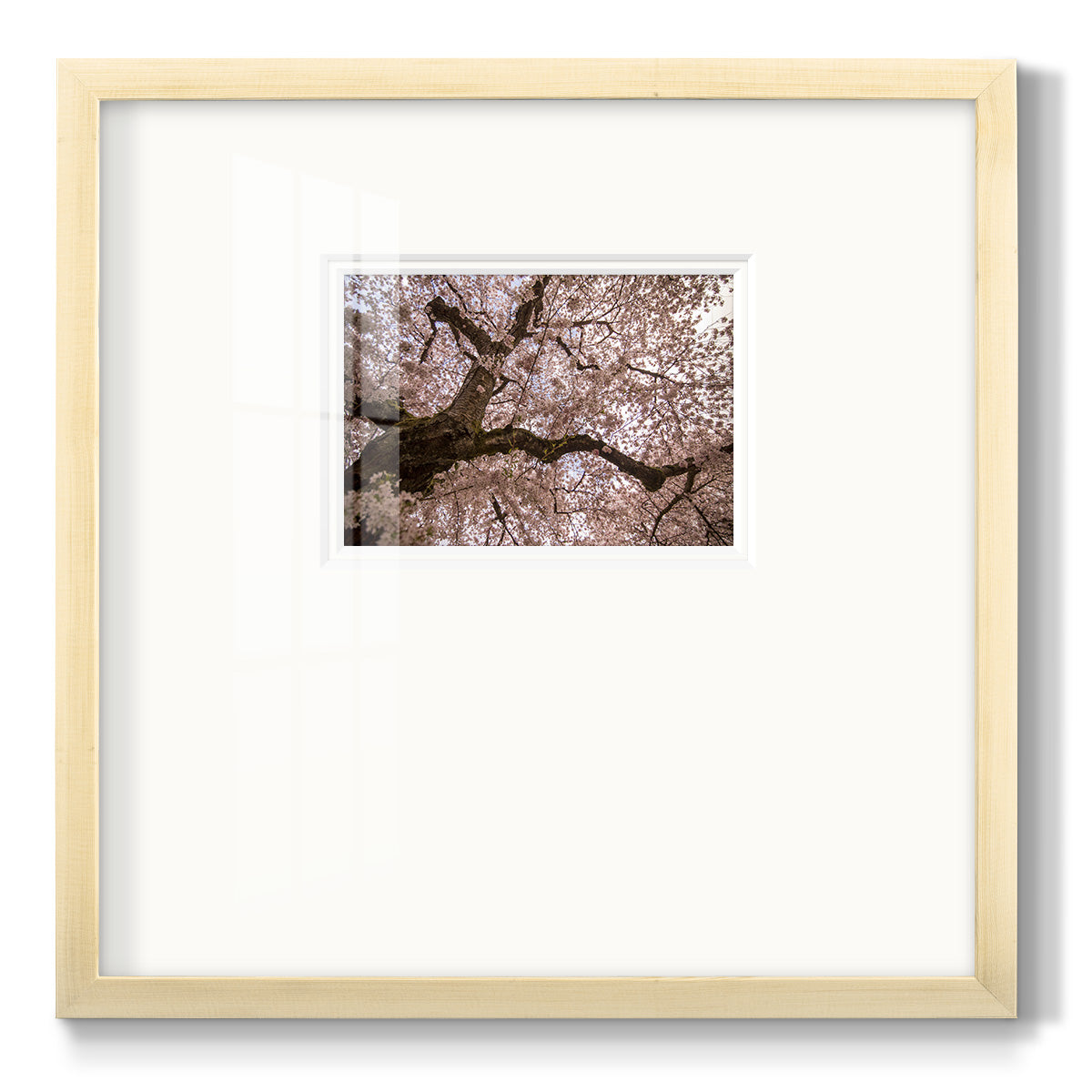 Spring's Arrival- Premium Framed Print Double Matboard
