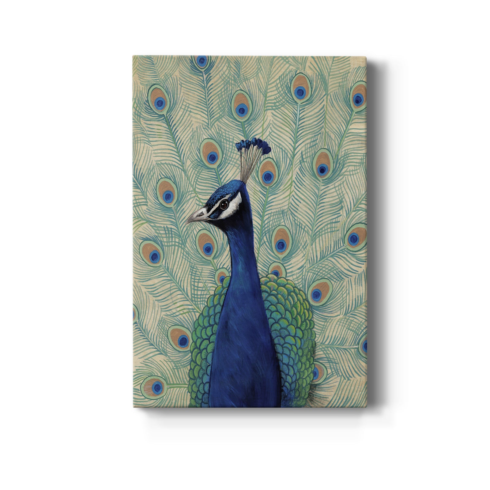 Blue Peacock II - Canvas Art Print