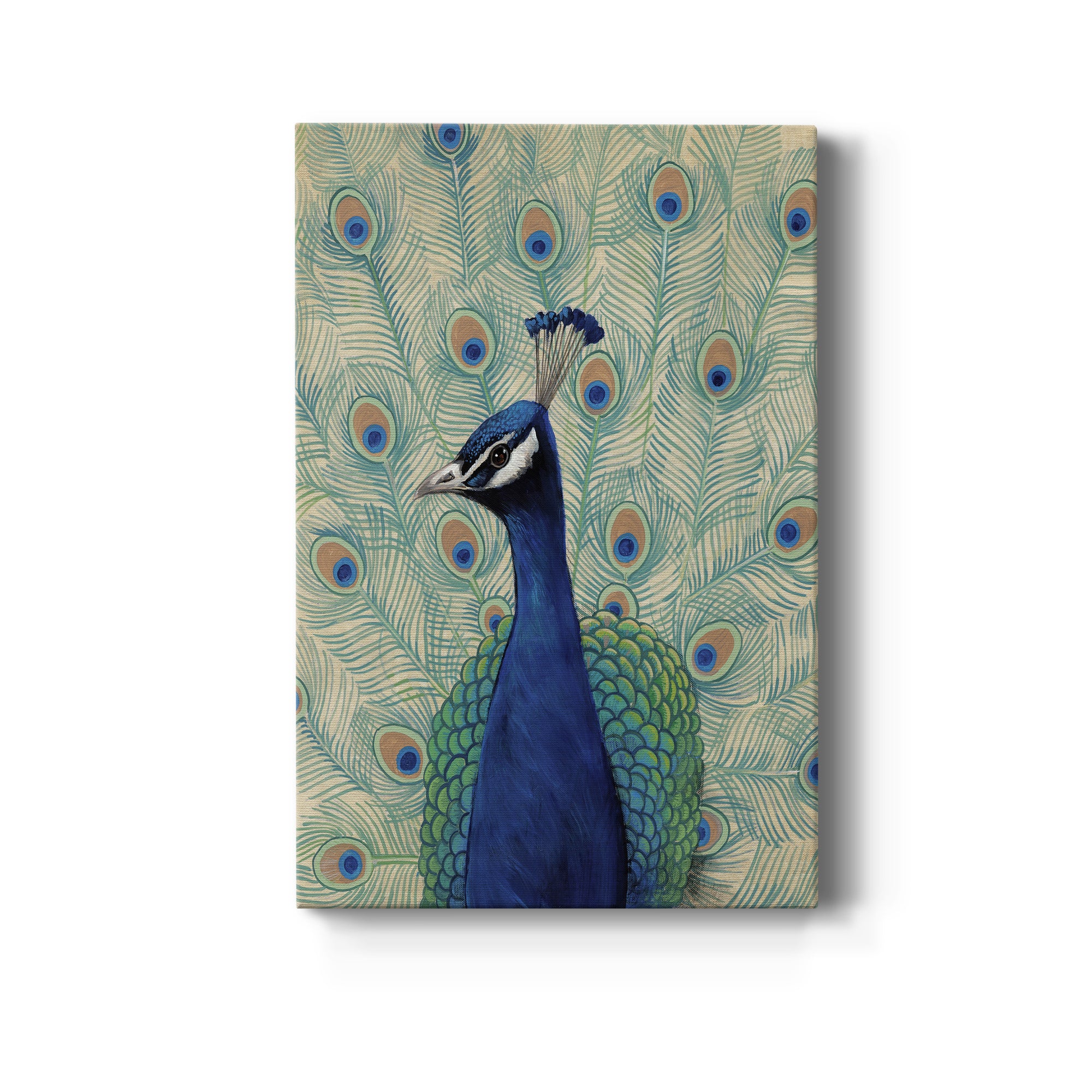 Blue Peacock II Premium Gallery Wrapped Canvas - Ready to Hang