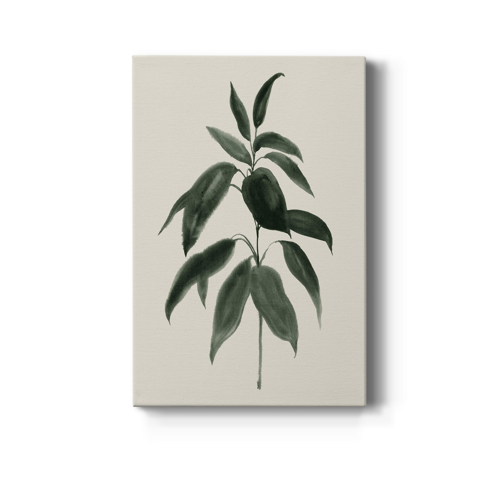 Soft Greenery II - Canvas Art Print