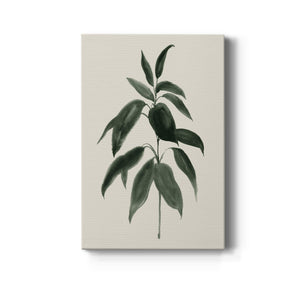 Soft Greenery II - Canvas Art Print