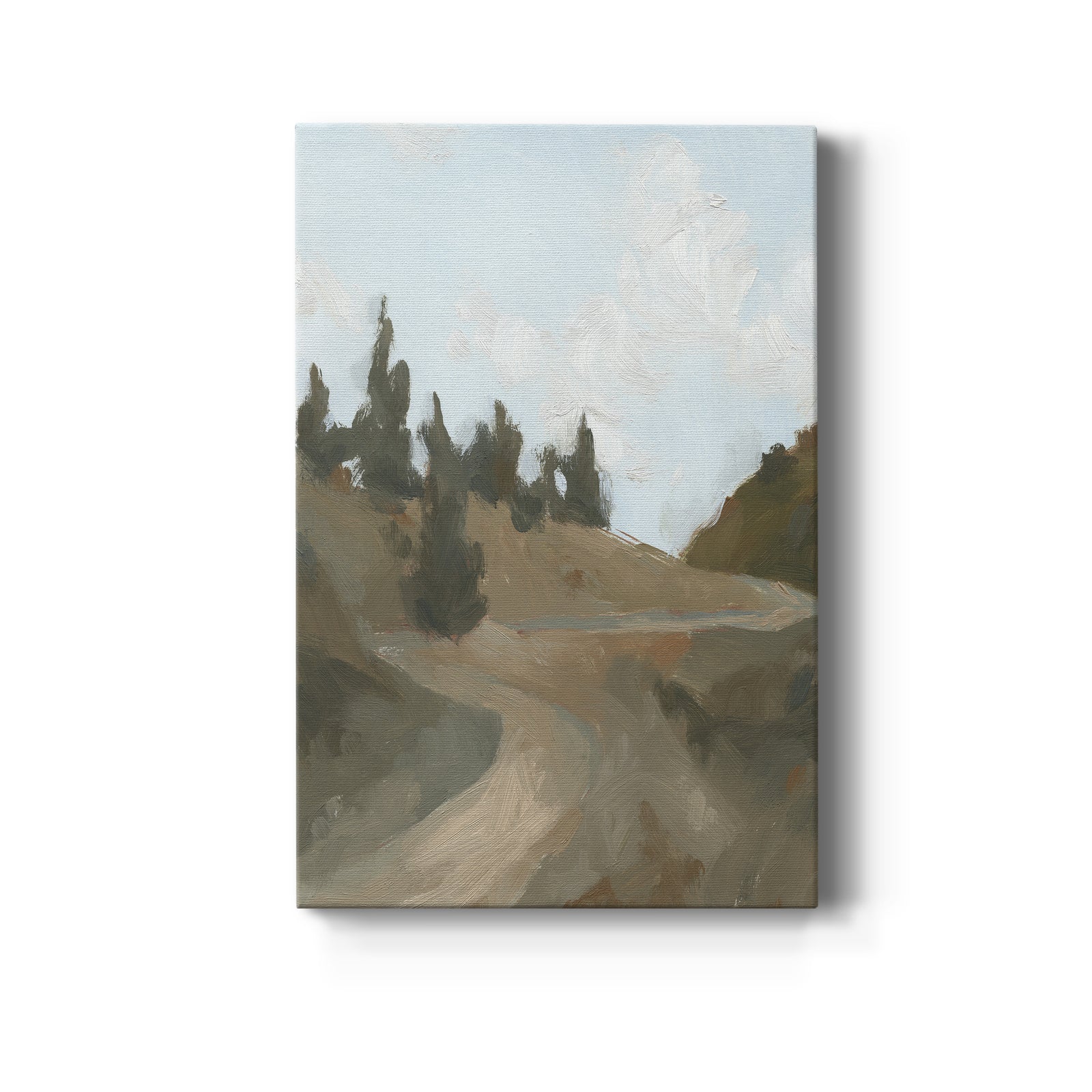 West Fork Hiking Trail IV - Canvas Art Print