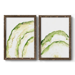 Lichen Halo I - Barnwood Framed Canvas Set