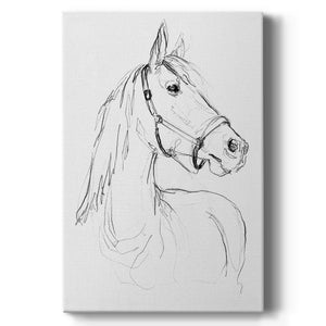 Bridle Portraits II - Canvas Art Print