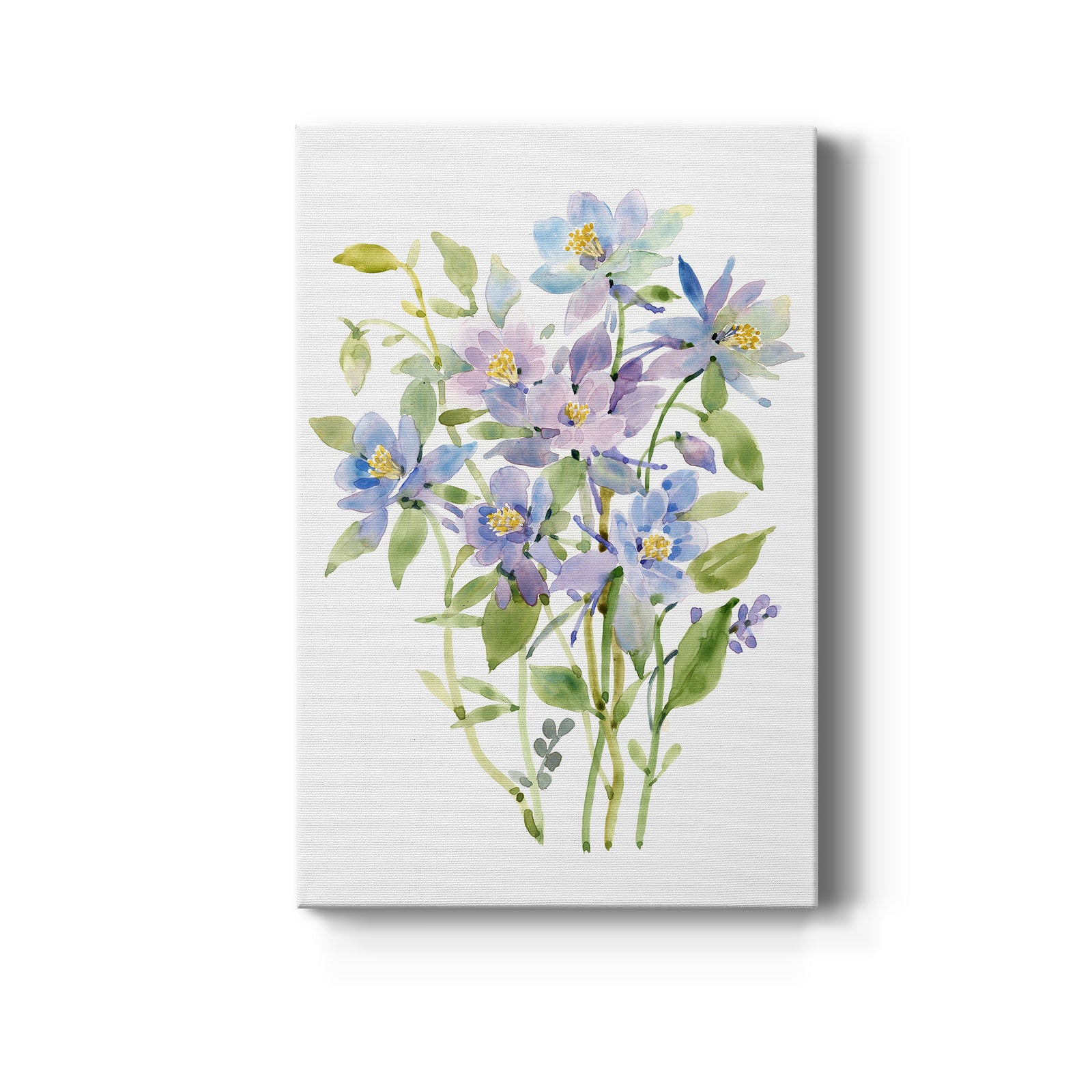 Columbine Spray II - Canvas Art Print