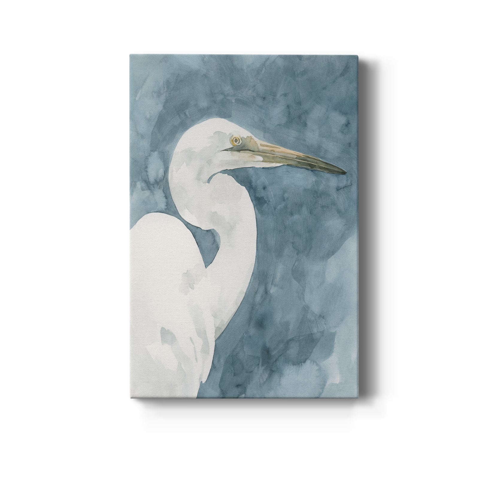 Watercolor Heron Portrait II - Canvas Art Print