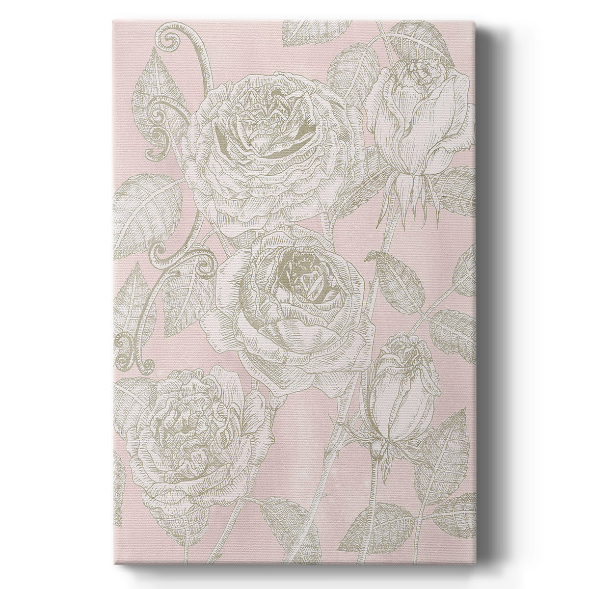 Blooming Roses I - Canvas Art Print