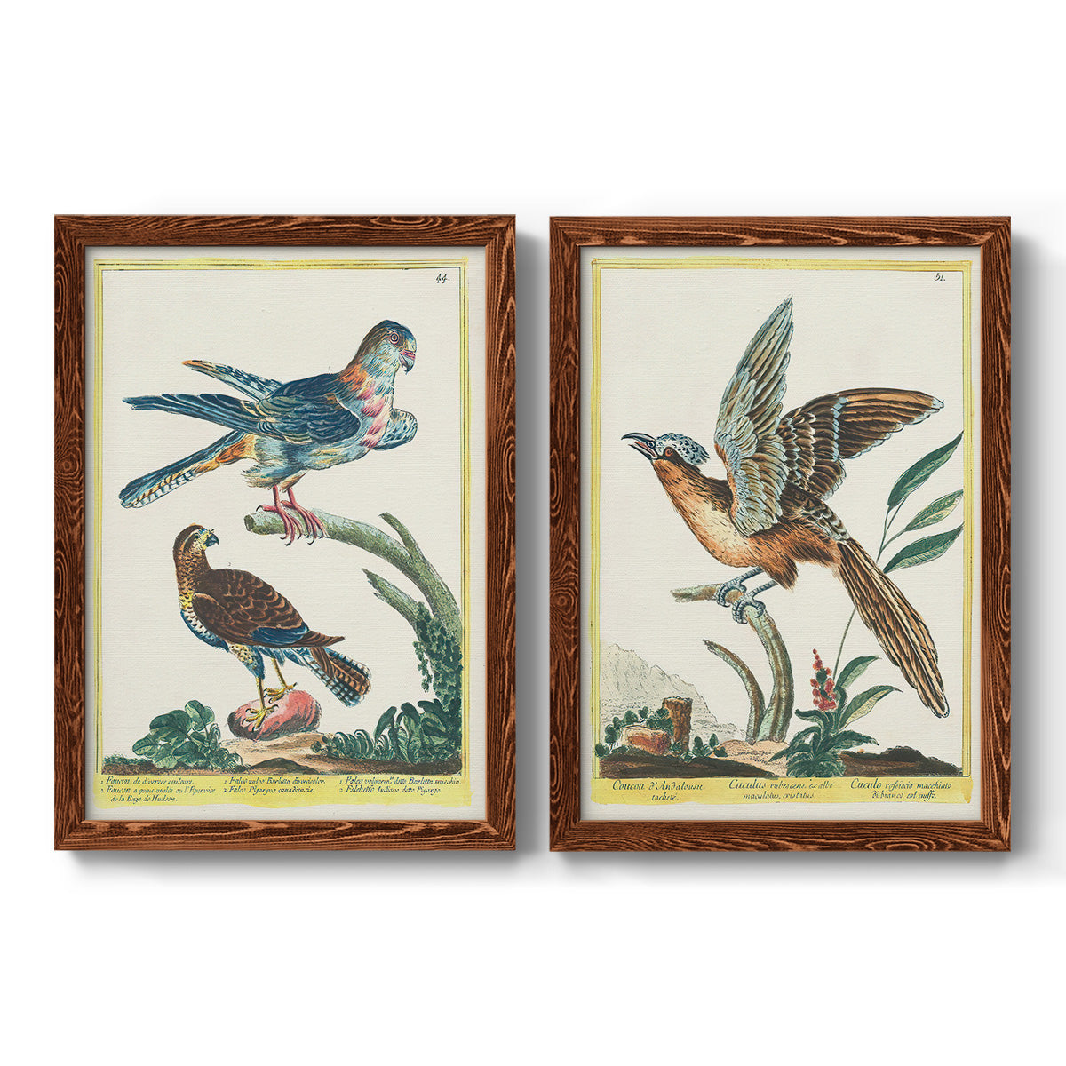 Pastel Birds III - Premium Framed Canvas 2 Piece Set - Ready to Hang