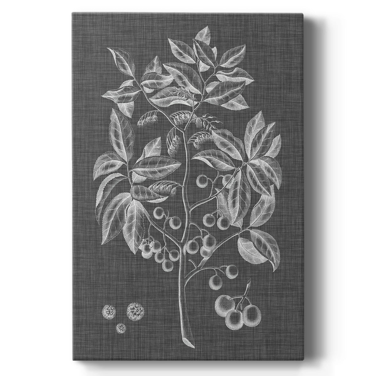 Graphic Foliage VI Premium Gallery Wrapped Canvas - Ready to Hang