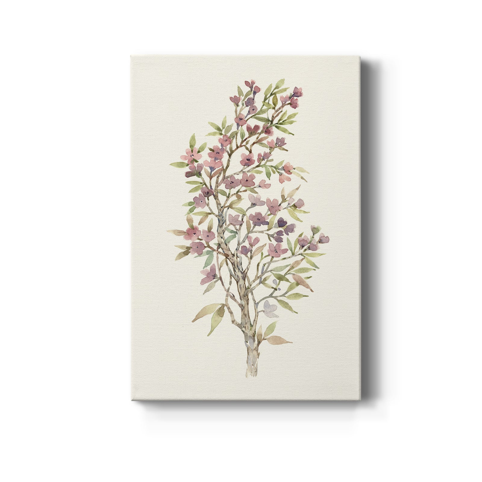 Twig Study I - Canvas Art Print
