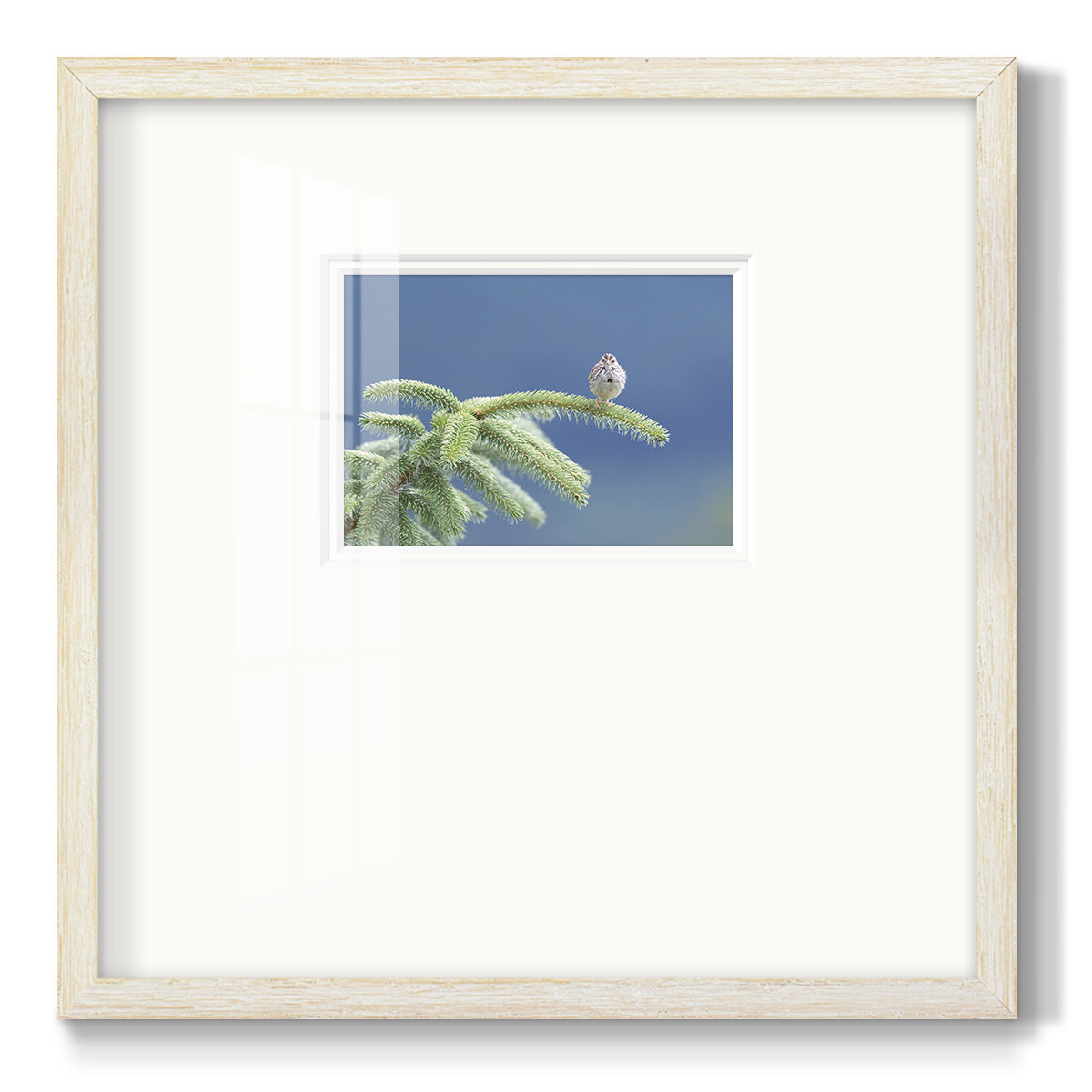 Evergreen Perch Premium Framed Print Double Matboard