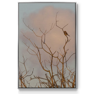 At Dawn - Framed Premium Gallery Wrapped Canvas L Frame - Ready to Hang