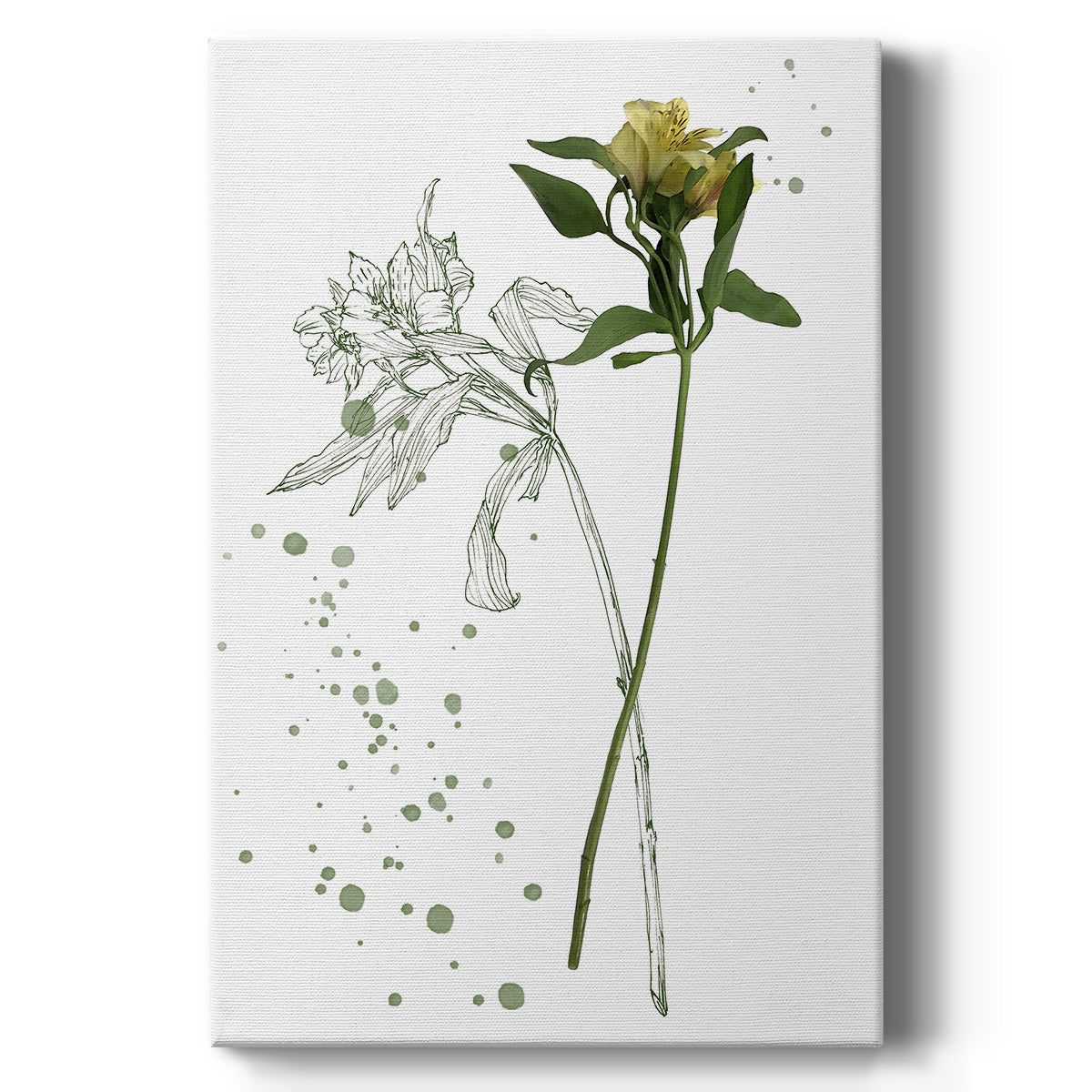 Botany Flower I - Canvas Art Print