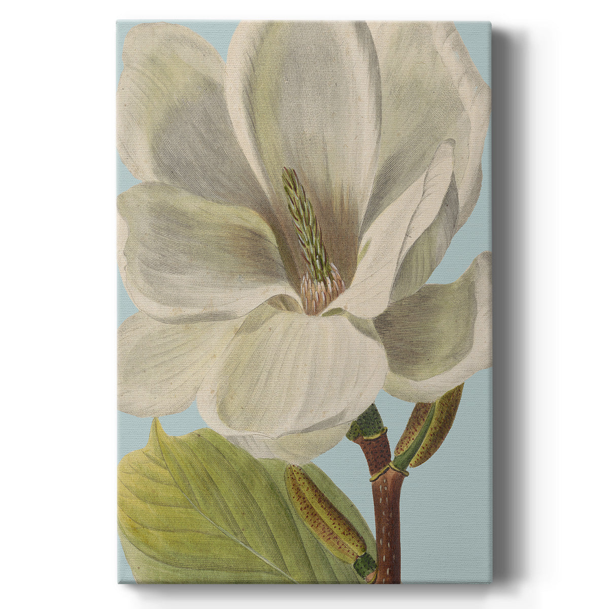 Fresh Florals I - Canvas Art Print