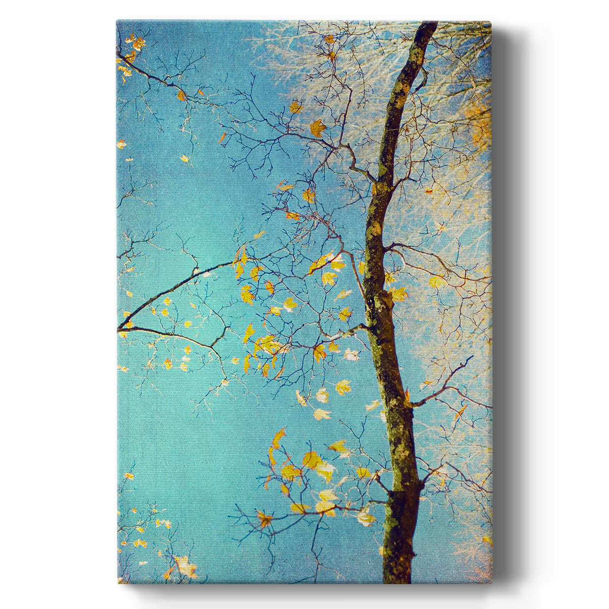Autumn Tapestry III Premium Gallery Wrapped Canvas - Ready to Hang