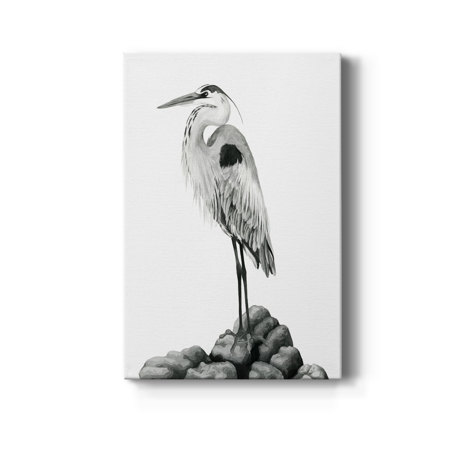 Shoreline Heron in B&W II - Canvas Art Print