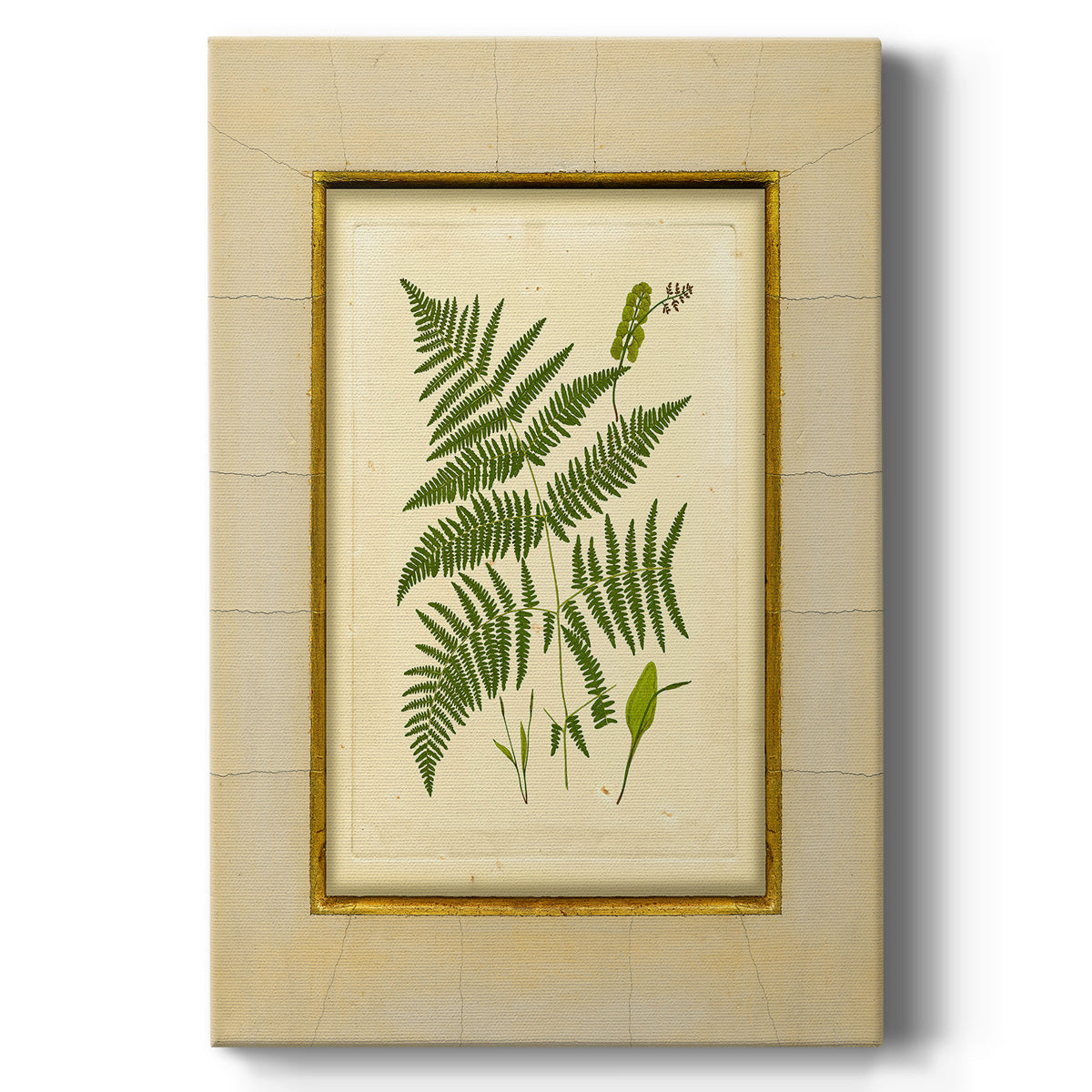 Fern with Crackle Mat (H) IV Premium Gallery Wrapped Canvas - Ready to Hang