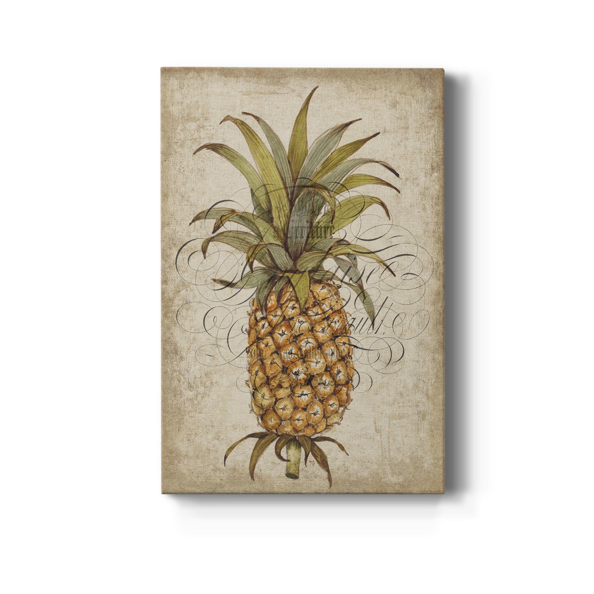 Pineapple Study II Premium Gallery Wrapped Canvas - Ready to Hang