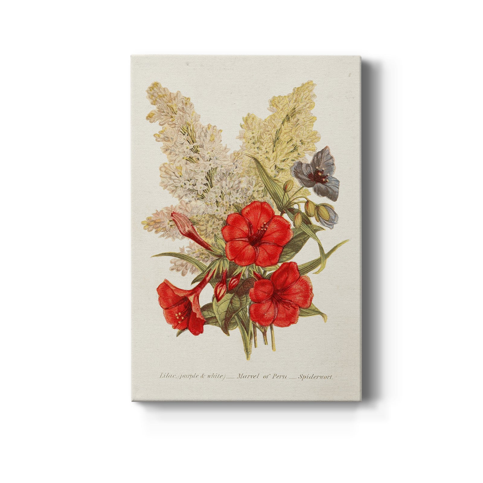 Antique Floral Bouquet V - Canvas Art Print