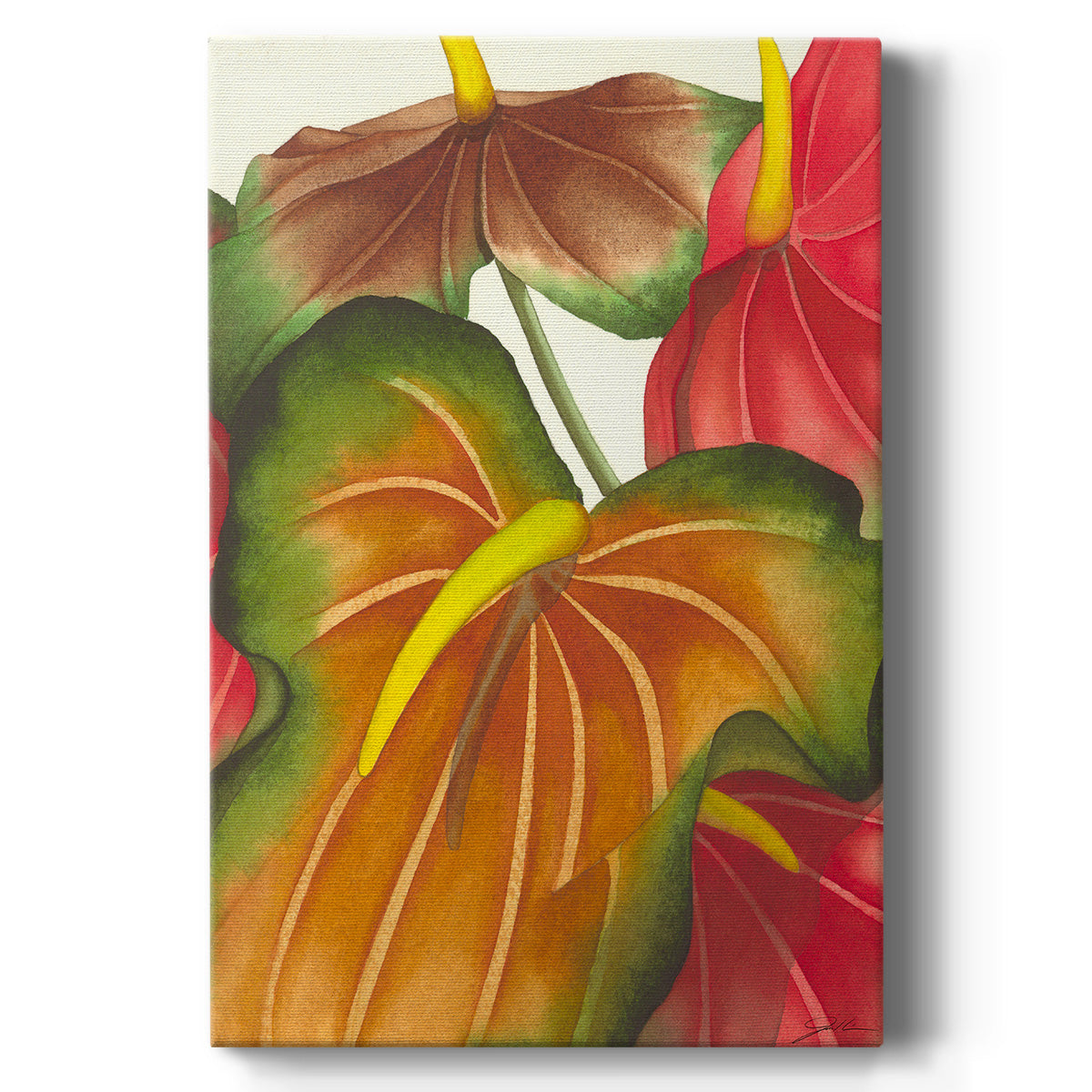Anthuria I Premium Gallery Wrapped Canvas - Ready to Hang