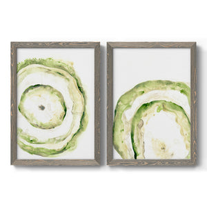 Lichen Halo III - Barnwood Framed Canvas Set