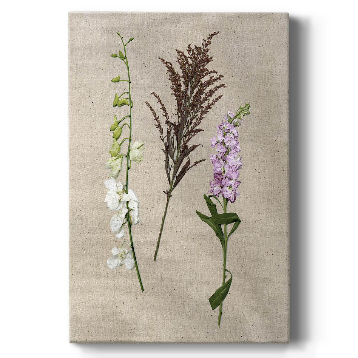 Pretty Pressed Flowers IV - Canvas Art Print