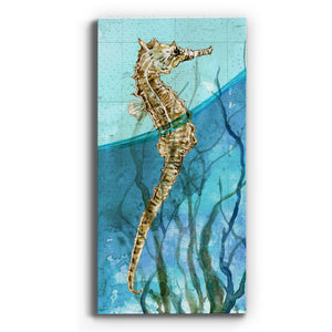 Atlantic Seahorse - Premium Gallery Wrapped Canvas - Ready to Hang