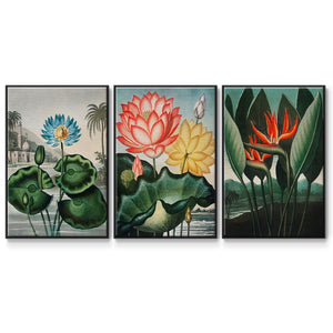 Temple of Flora IV - Framed Premium Gallery Wrapped Canvas L Frame 3 Piece Set - Ready to Hang