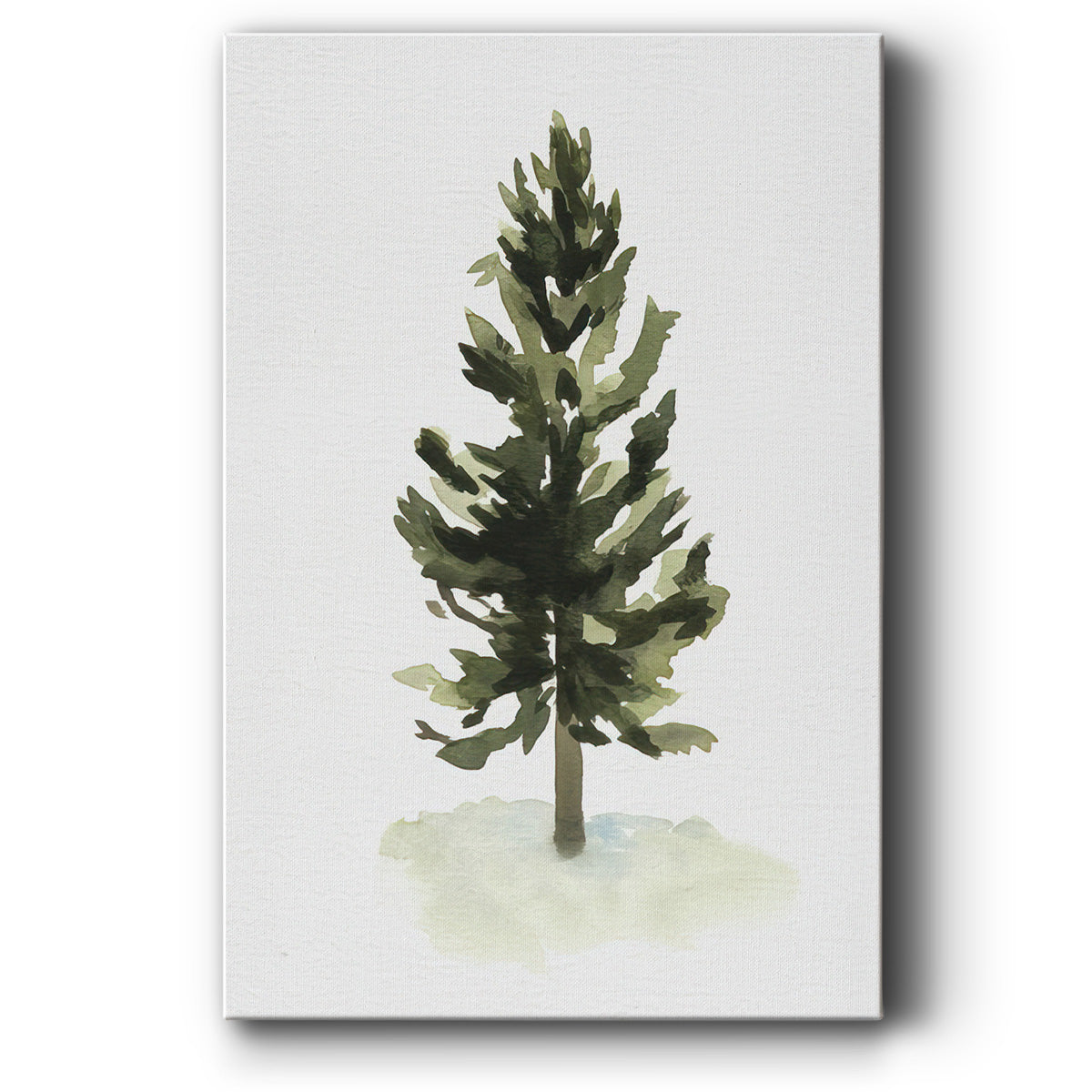Watercolor Pine I - Gallery Wrapped Canvas