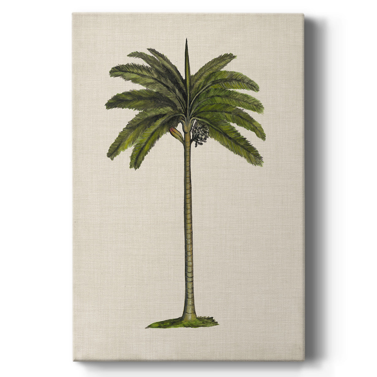 UA CH British Palms IV - Canvas Art Print