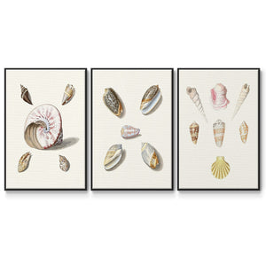 Paper Scene I - Framed Premium Gallery Wrapped Canvas L Frame 3 Piece Set - Ready to Hang