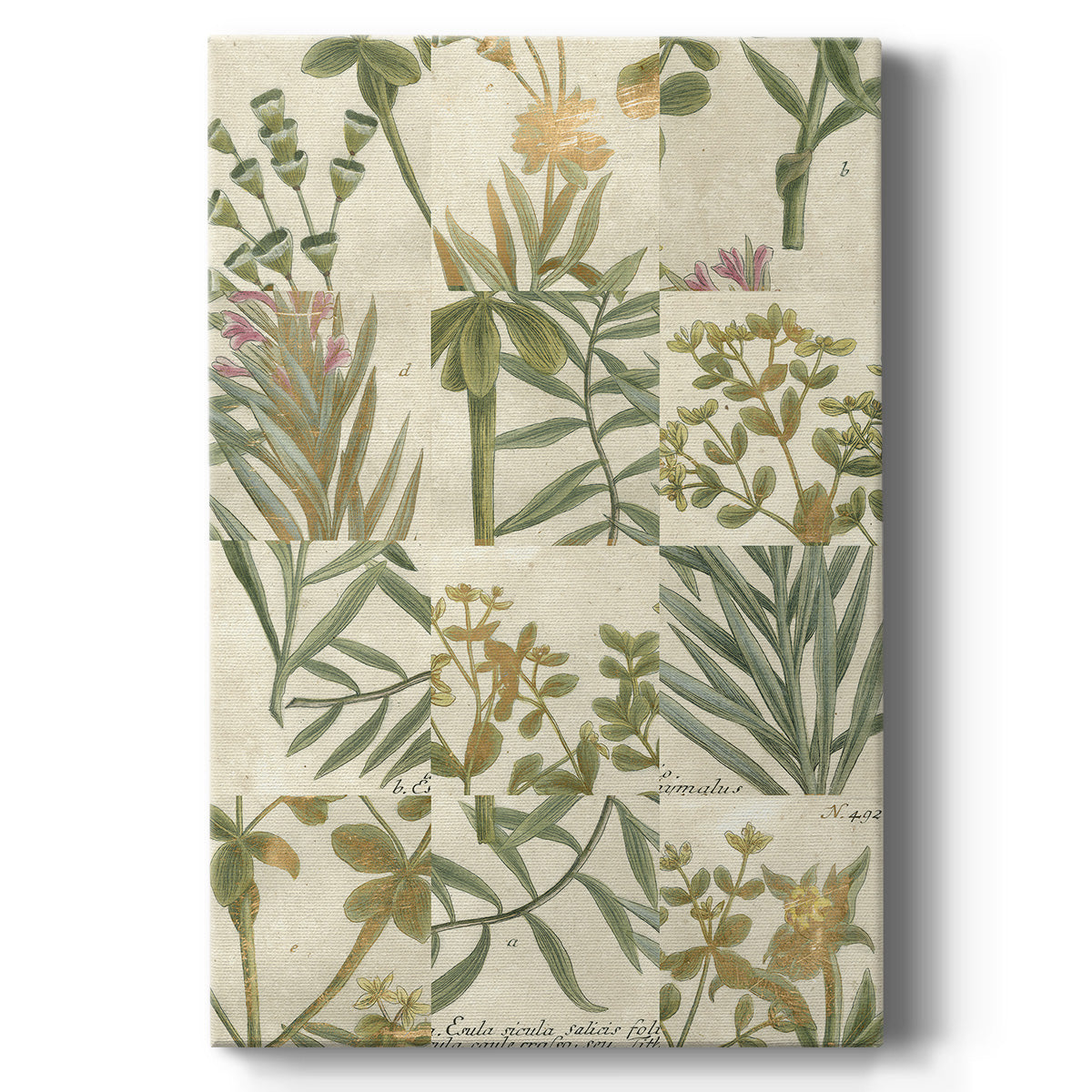 Garden Grid II - Canvas Art Print