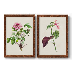 Pretty Pink Botanicals V - Premium Framed Canvas 2 Piece Set - Ready to Hang