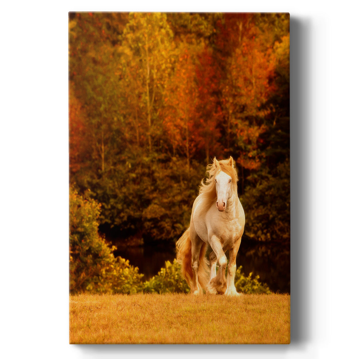 Horse Motion IX Premium Gallery Wrapped Canvas - Ready to Hang
