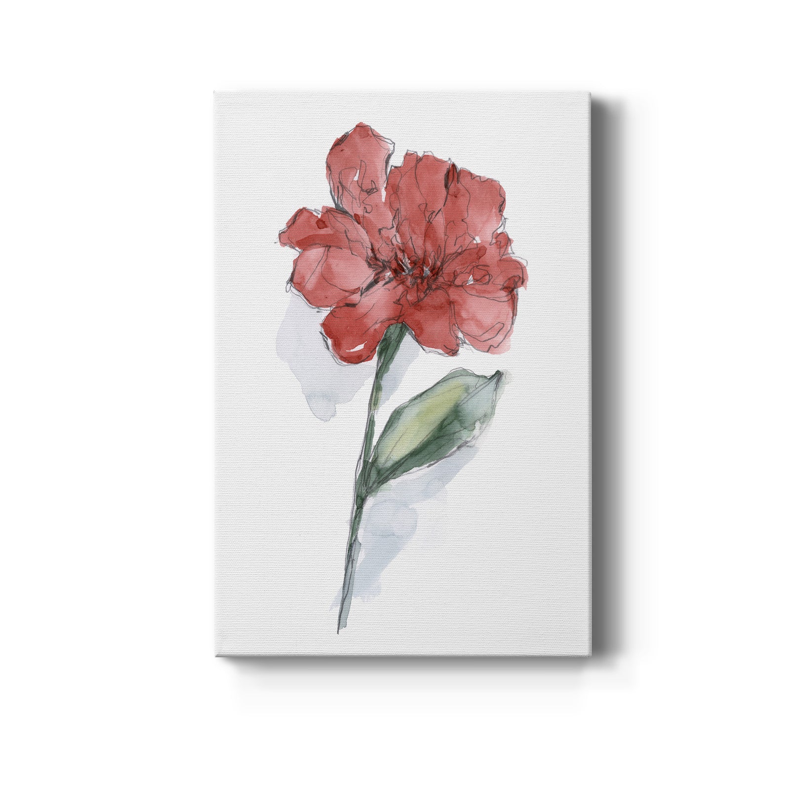 Watercolor Floral Contour IV - Canvas Art Print